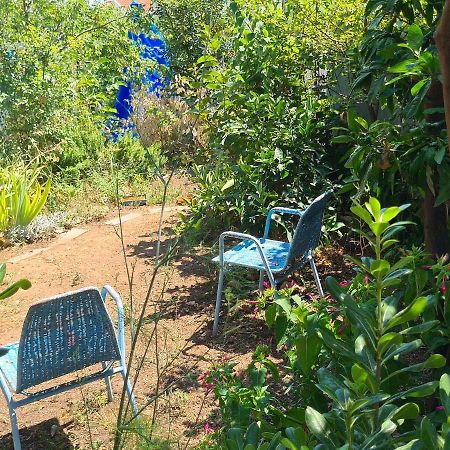 Studio Apartment Garden دوبروفينك المظهر الخارجي الصورة