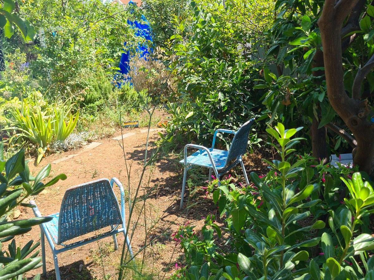 Studio Apartment Garden دوبروفينك المظهر الخارجي الصورة