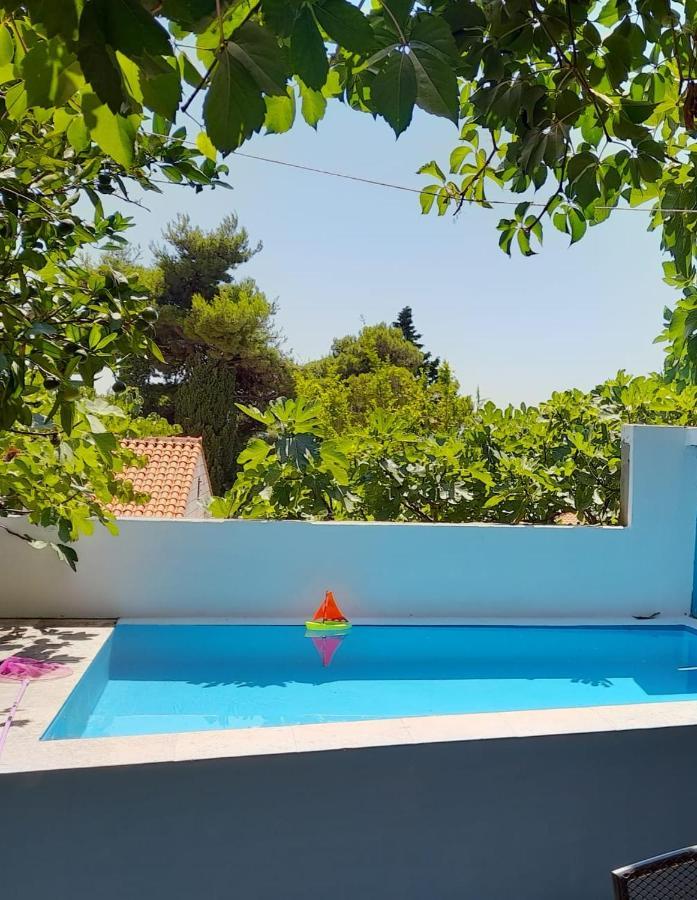 Studio Apartment Garden دوبروفينك المظهر الخارجي الصورة